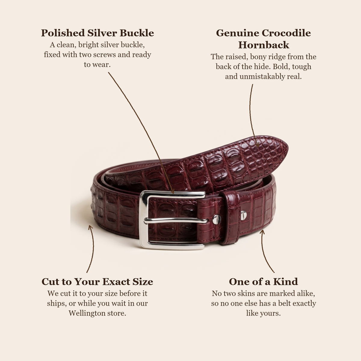 Maroon Hornback Crocodile Belt: buckle, skin, cut to your size, one of a kind