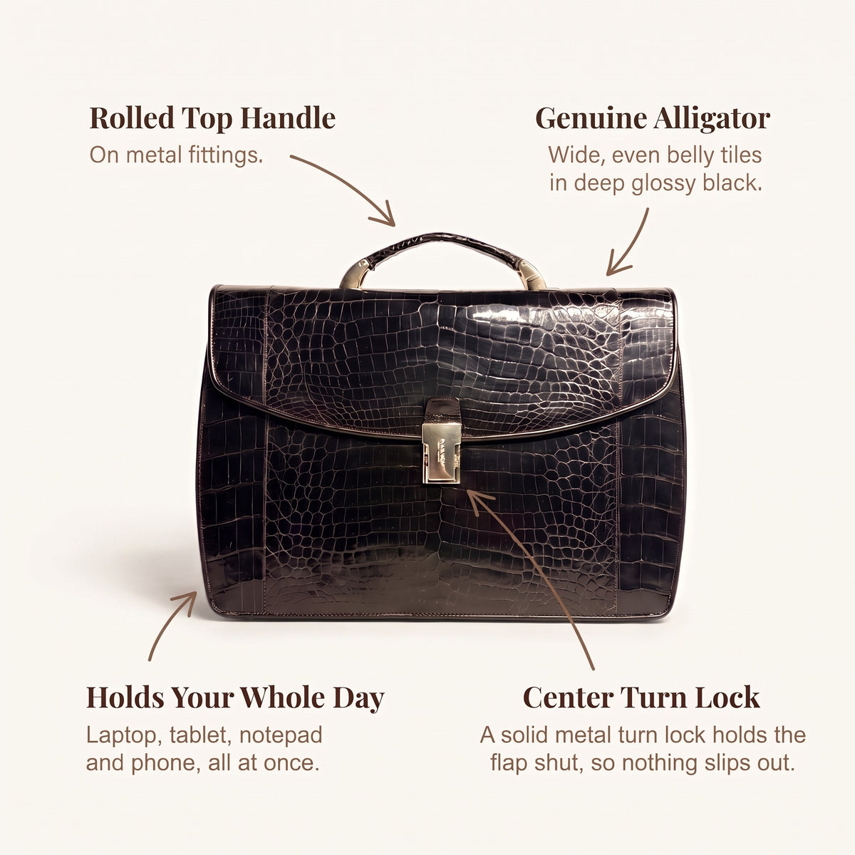 Alligator Briefcase, infographic: what you're paying for