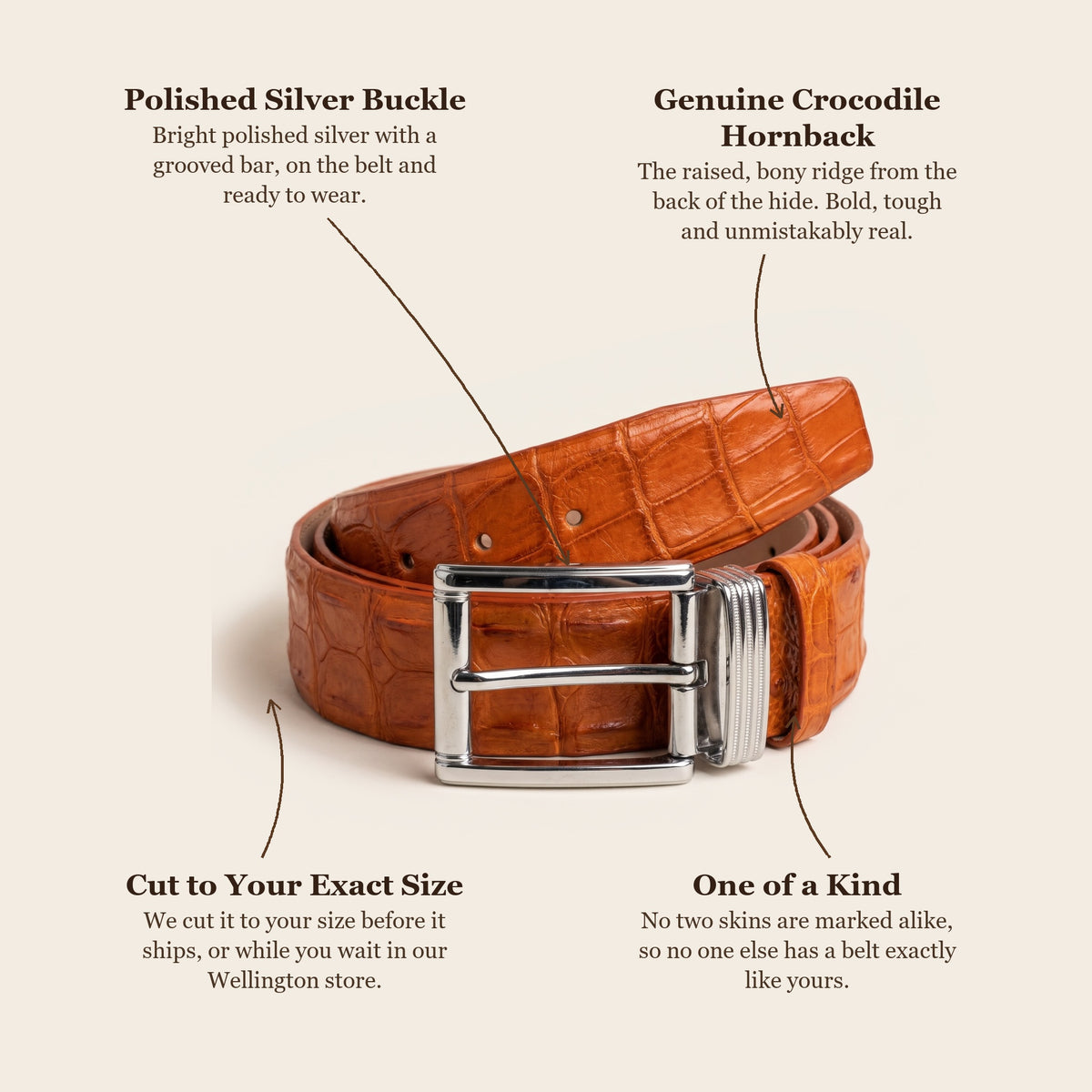 Orange Hornback Crocodile Belt: buckle, skin, cut to your size, one of a kind