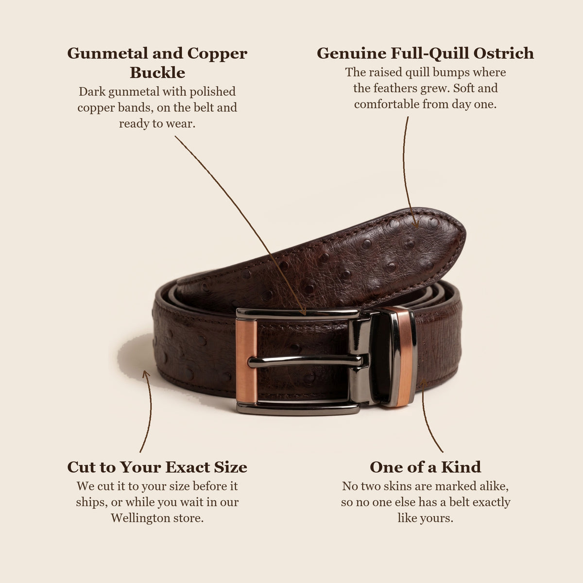 Brown Ostrich Belt: buckle, skin, cut to your size, one of a kind