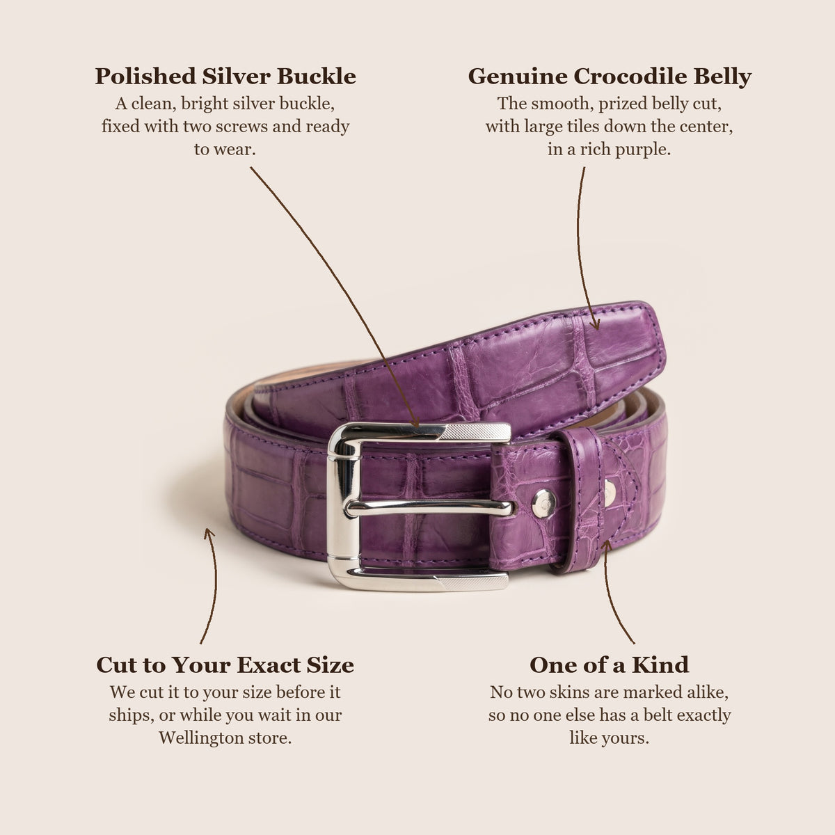 Purple Crocodile Belly Belt: buckle, skin, cut to your size, one of a kind