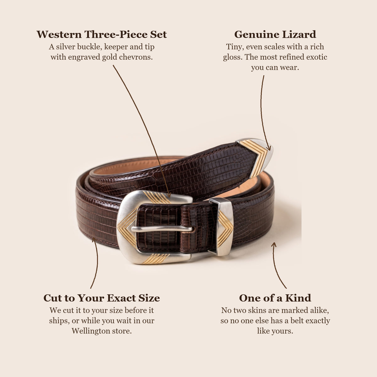 Brown Lizard Western Belt: buckle, skin, cut to your size, one of a kind