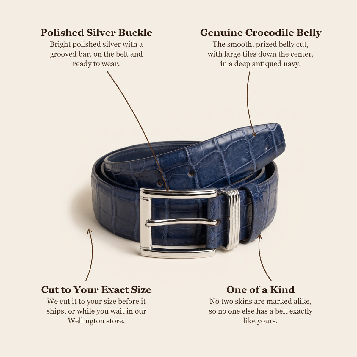 Navy Crocodile Belly Belt: buckle, skin, cut to your size, one of a kind