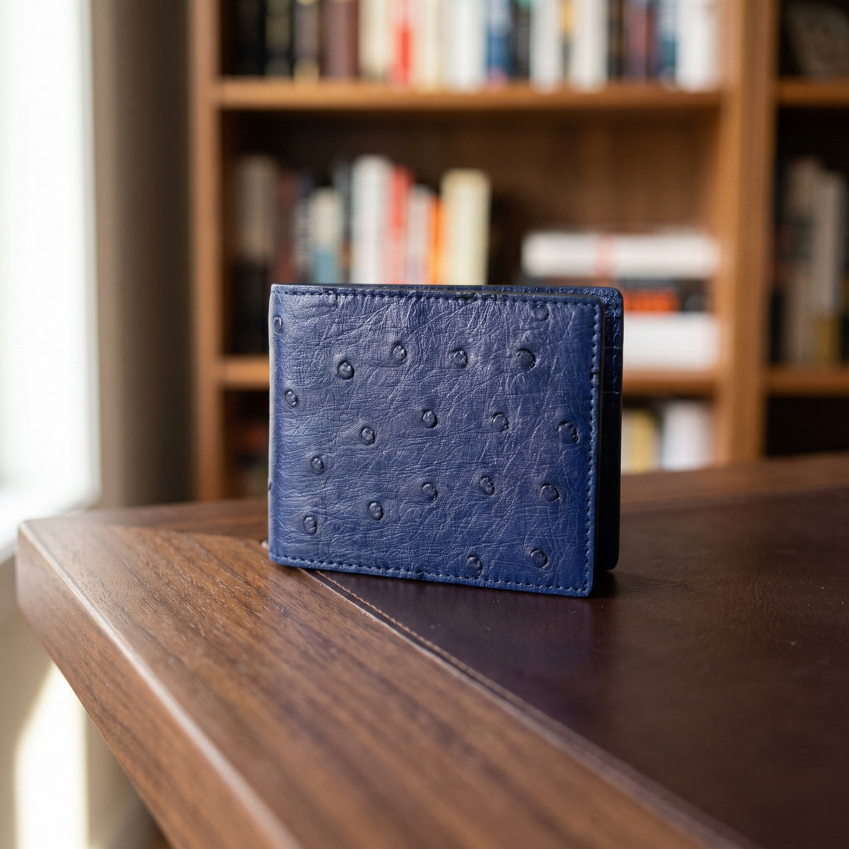 Ostrich Bifold in Blue [Blue]