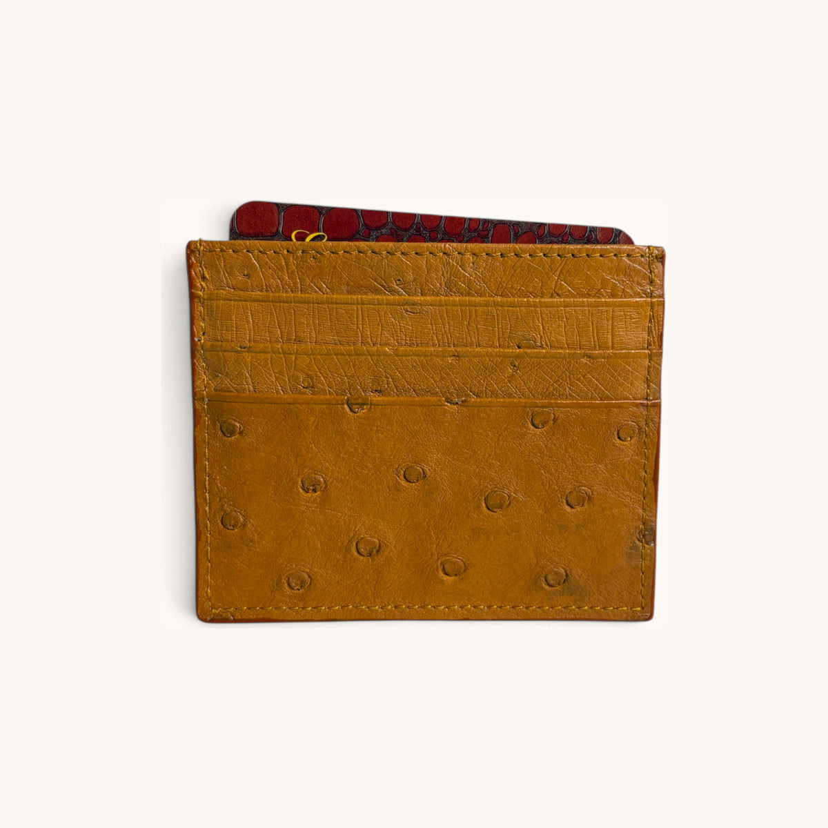 Exotic Card Case in Ostrich - Executive Leather, Wellington FL