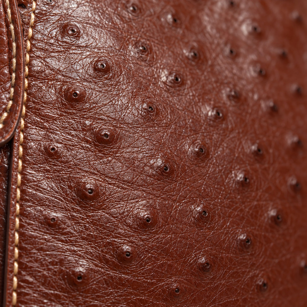 Ostrich Tote, close-up of the ostrich quill grain